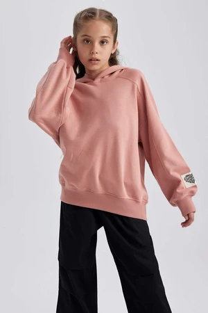 DEFACTO Regular Fit Hooded Sweatshirt