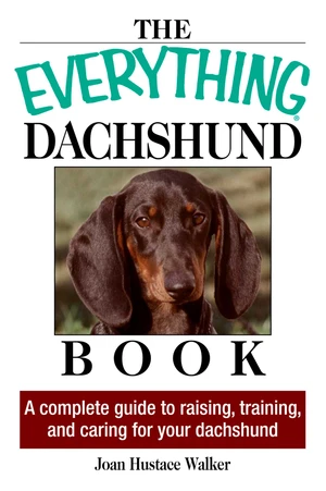 The Everything Daschund Book