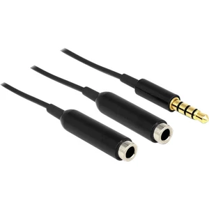 Delock 65575 jack audio Y kábel [1x jack zástrčka 3,5 mm - 2x jack zásuvka 3,5 mm] 25.00 cm čierna