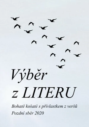 Výběr z LITERU - Čeněk Pekař - e-kniha