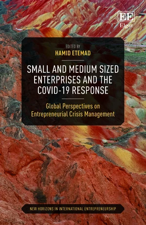Small and Medium Sized Enterprises and the COVID-19 Response