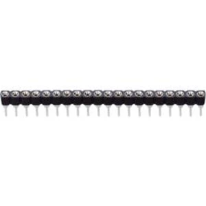 Pinová lišta BKL 10120834, 1x 32pól., 2,54 mm, zásuvka