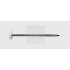SWG 9841316530 Hřebíky z nerezové oceli s plastovou hlavou, 3,1 x 65, ocel, A4 3.1 mm 40 ks