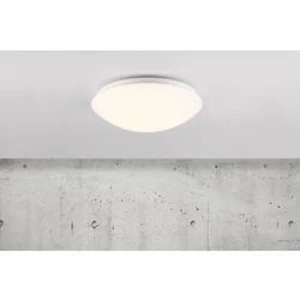 Venkovní stropní LED osvětlení Nordlux Ask, 45356001, 12 W, N/A, bílá