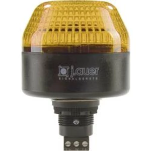 Signální osvětlení LED Auer Signalgeräte IBL, oranžová, N/A trvalé světlo, blikající světlo, 24 V/DC, 24 V/AC