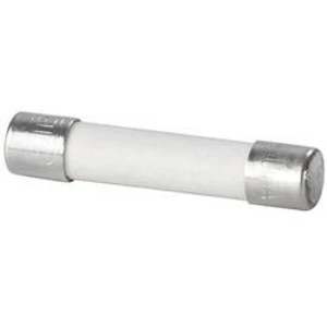 Weidmüller 0546900000 trubičková pojistka 0.25 A 250 V