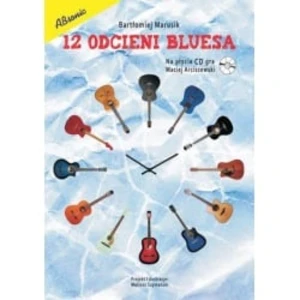 Absonic. 12 Odcieni Bluesa + Cd