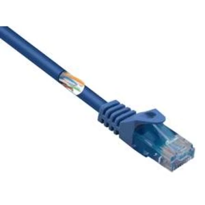 Síťový kabel RJ45 Basetech BT-1717486, CAT 5e, U/UTP, 10.00 m, modrá