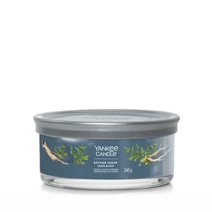 Yankee Candle Aromatická svíčka Signature tumbler střední Bayside Cedar 340 g