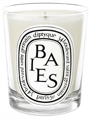 Diptyque Baies - svíčka 190 g