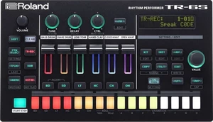 Roland TR-6S Rhythm Performer Caja de ranura