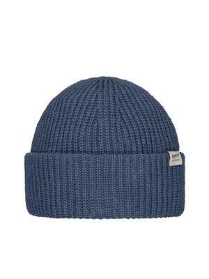 Zimní čepice Barts DERVALI BEANIE Blue