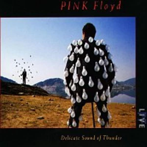 Pink Floyd – Delicate Sound Of Thunder LP