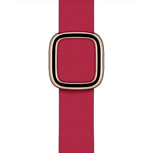 Apple Watch 40mm Raspberry Modern Buckle - Small