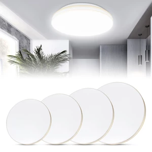 12W/18W/24W/36W 28CM/34CM/40CM 2835 SMD LED Ceiling Lamp Gold Side Indoor Light Bathroom Kitchen Living Room AC220V