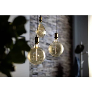 Philips Lighting 76806800 LED   E27 guľatý tvar 5 W = 25 W teplá biela (Ø x d) 160 mm x 293 mm  1 ks