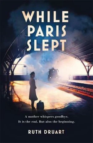 While Paris Slept - Ruth Druart