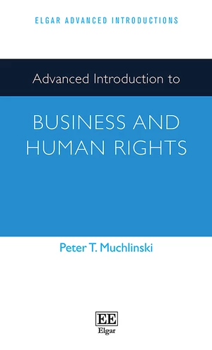 Advanced Introduction to Business and Human Rights