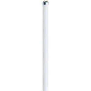 Úsporná zářivka Osram, 13 W, G5, 517 mm, studená bílá