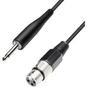 XLR kabel, XLR(F)/jack 6,3 mm, 10 m, černá
