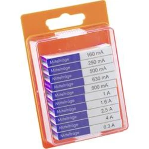 Jemná pojistka ESKA středně pomalá MITTELTRAEGE 121.800, 5 mm x 20 mm, 100 Parts