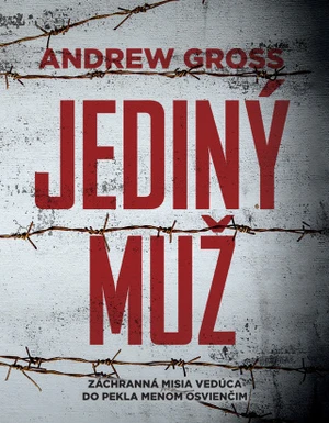 Jediný muž - Andrew Gross - e-kniha