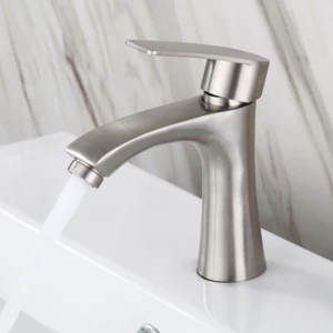 Stainless Steel Bathroom Basin Faucet Single Cold Single Handle Sink Tap With Hoses Lead Free