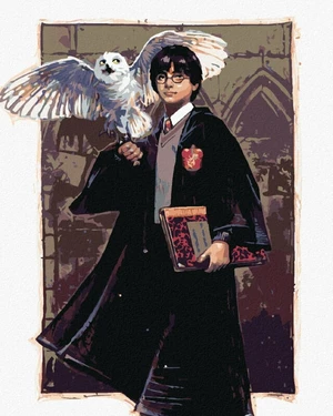 Zuty Malowanie po numerach Harry Potter i Hedwiga w Hogwarcie