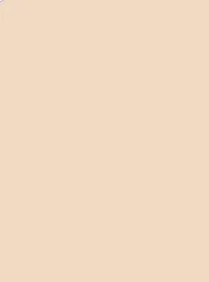 Briefs Gatta 41649 Bikini Queenie S-2XL natural/odc.beige 04