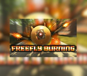 FreeFly Burning Steam CD Key