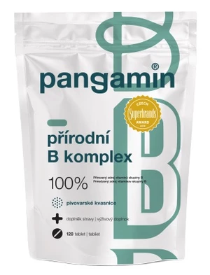 Pangamin Přírodní B komplex 120 tablet