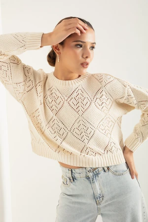 Lafaba Women's Beige Crew Neck Openwork/Perforated Knitwear Sweater
