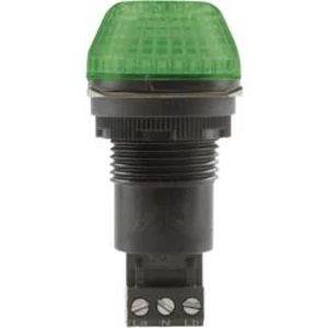 Signální osvětlení LED Auer Signalgeräte IBS, zelená, trvalé světlo, blikající světlo, 12 V/DC, 12 V/AC