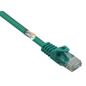 Síťový kabel RJ45 Basetech BT-1717512, CAT 5e, U/UTP, 0.50 m, zelená