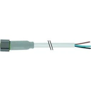 Neupravený zástrčkový konektor pro senzory - aktory Murr Elektronik 7014-08041-2100500 5.00 m, 1 ks