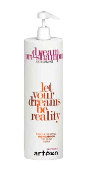 Šampon pro hloubkové očištění vlasů Artégo Dream - 1000 ml (0165727) + dárek zdarma