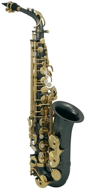 Roy Benson AS-202K Alto Saxofon