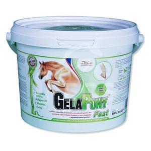 GELAPONY Fast 600 g a.u.v.