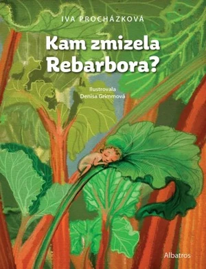 Kam zmizela Rebarbora? - Iva Procházková - e-kniha