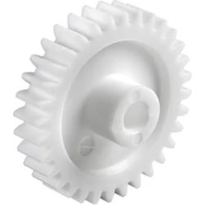 Polyacetal čelní ozubené kolo Reely Typ modulu: 0.5 Ø otvoru: 2 mm Počet zubů: 12