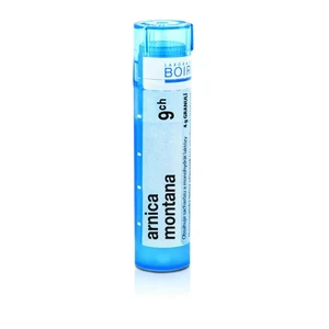 BOIRON Arnica Montana CH9 4 g