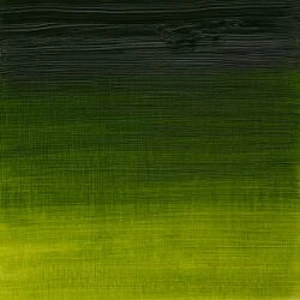 Olejová barva W&N Artists 37ml – 599 Sap Green