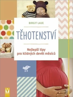 Těhotenství - Nejlepší tipy pro klidných devět měsíců - Laue Birgit