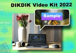 DIKDIK Video Kit 2022 Steam CD Key