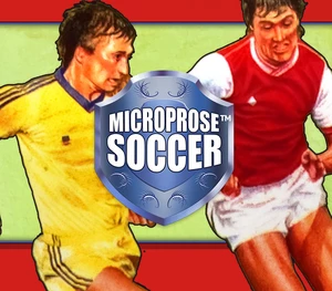 MicroProse Soccer Steam CD Key