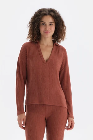Dagi Brick Polo Neck Half-Place Sweatshirt