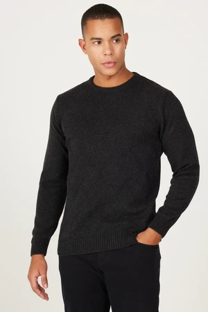 AC&Co / Altınyıldız Classics Men's Anthracite Standard Fit Regular Cut Crew Neck Jacquard Wool Knitwear Sweater