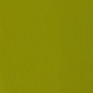 Akrylová barva Basics 22ml – 218 light olive green