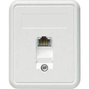 Síťová zásuvka na omítku CAT 5e Telegärtner J00023A0174, 1 port, alpská bílá