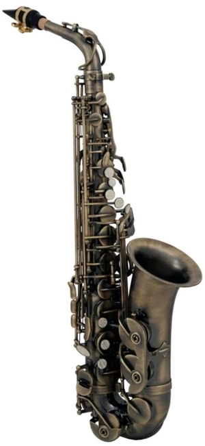 Roy Benson AS-202A Alto Saxofon
